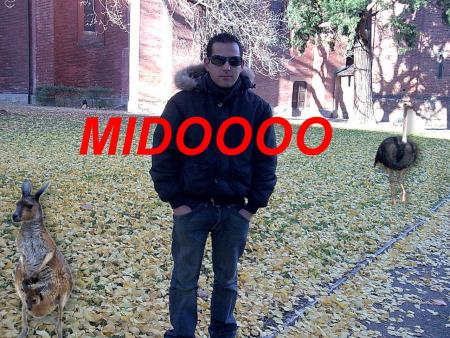 midooooo zazz