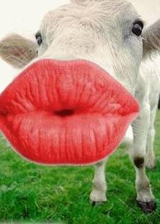 hhhh lai3amerkom thelmo biha hhhh 